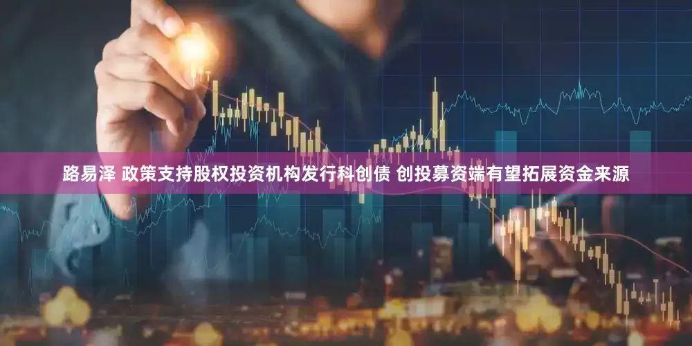 路易泽 政策支持股权投资机构发行科创债 创投募资端有望拓展资金来源