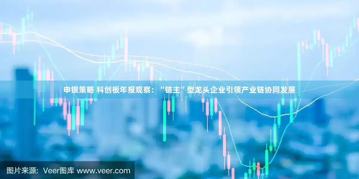申银策略 科创板年报观察：“链主”型龙头企业引领产业链协同发展