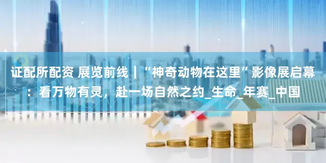 证配所配资 展览前线｜“神奇动物在这里”影像展启幕：看万物有灵，赴一场自然之约_生命_年赛_中国